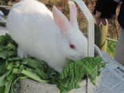 IMG_6358.jpg