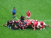 IMG_6438.jpg