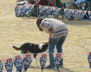 IMG_6448.jpg