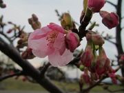IMG_6589.jpg