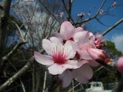 IMG_6670.jpg